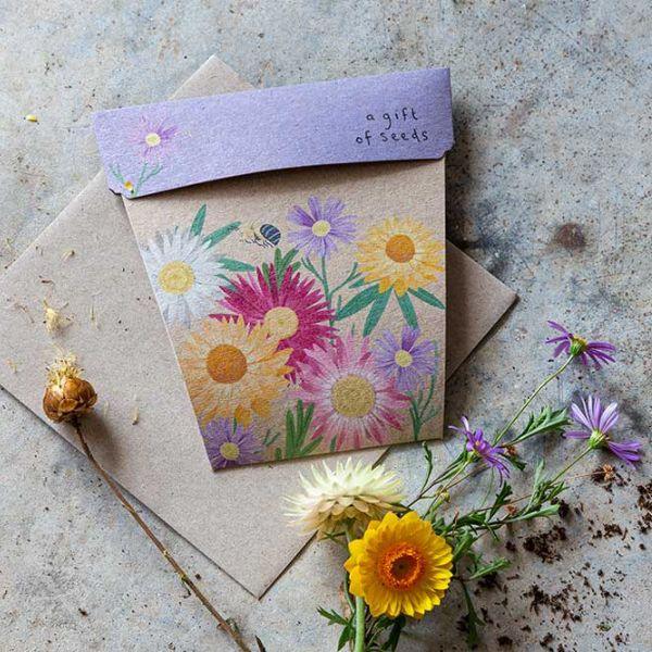 Native Daisies Gift of Seeds - The Leprosy Mission Shop