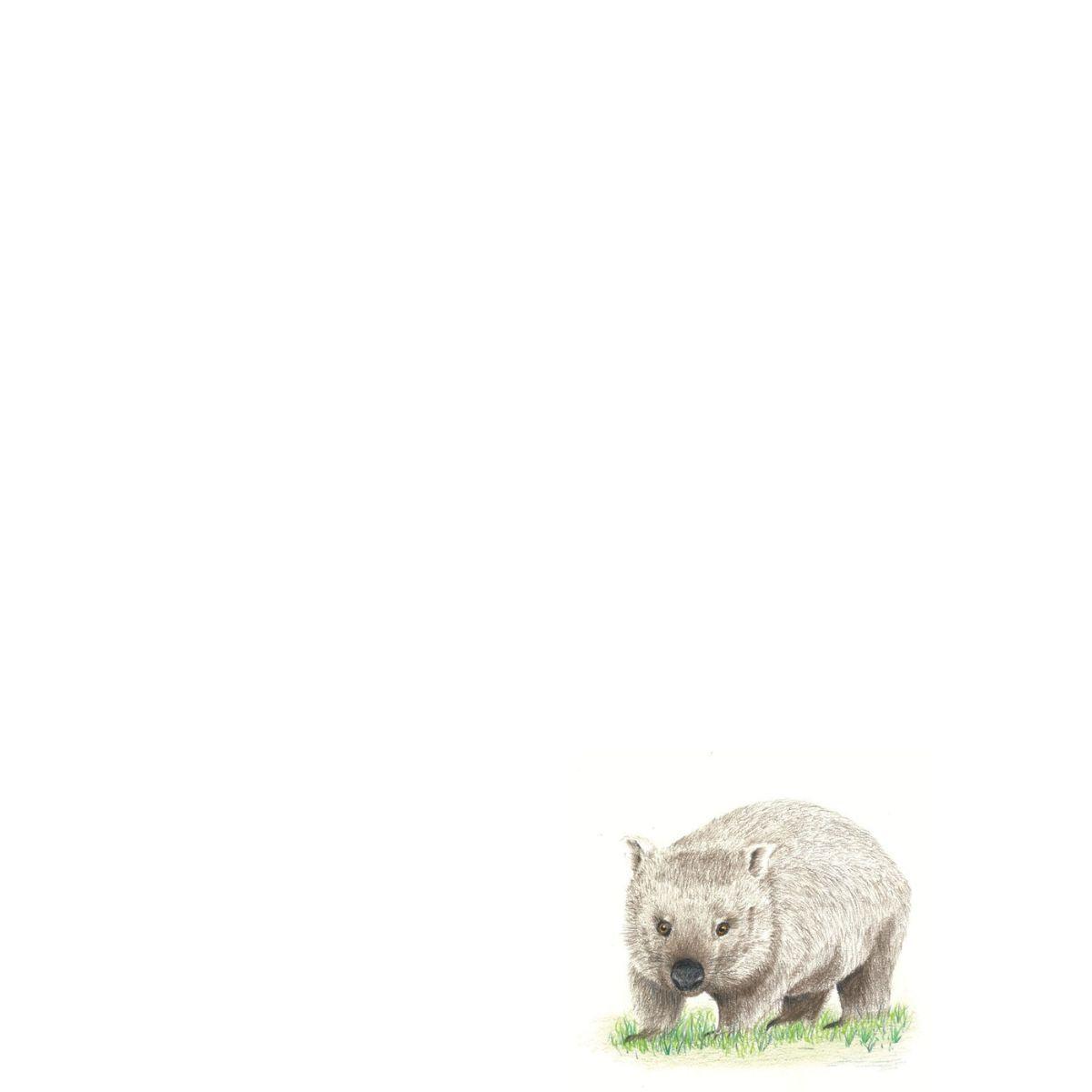 Wombat Spiral Notepad - The Leprosy Mission Shop