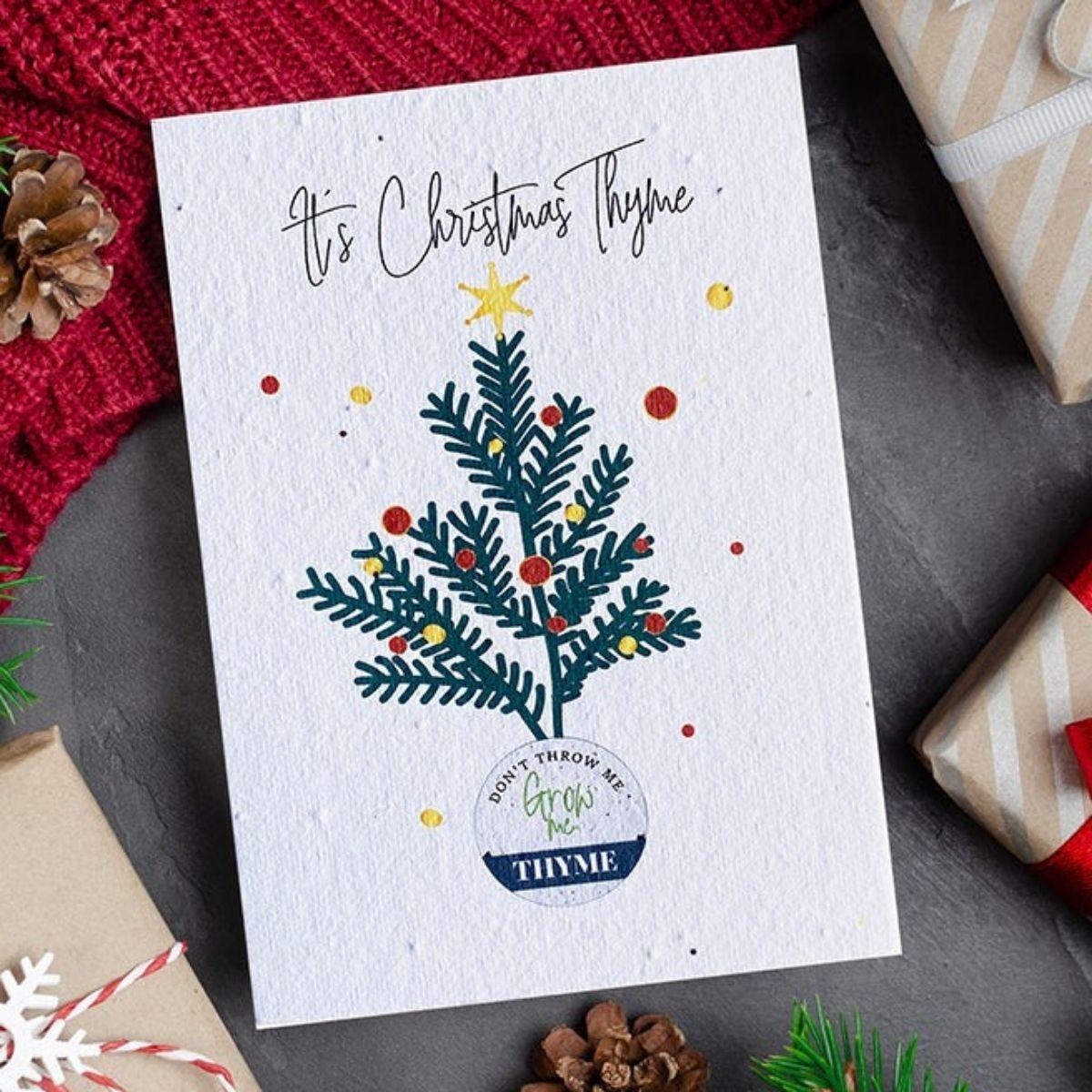 Christmas Thyme Grow Card - The Leprosy Mission Shop