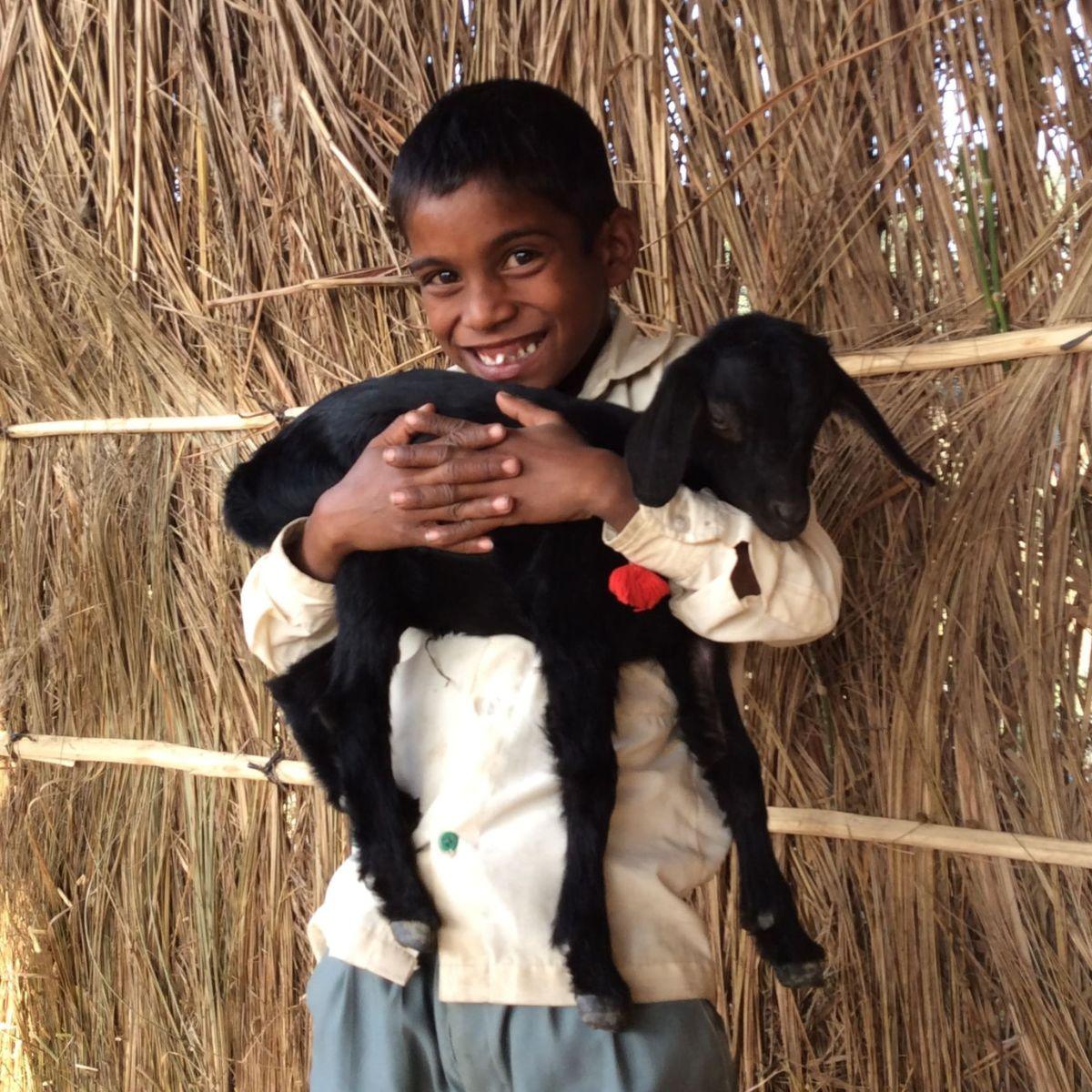 Checkout Donation - The Leprosy Mission Shop