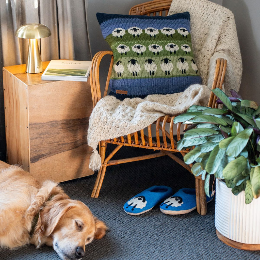 Cozy living room with a dog, chair, and decorative pillows.