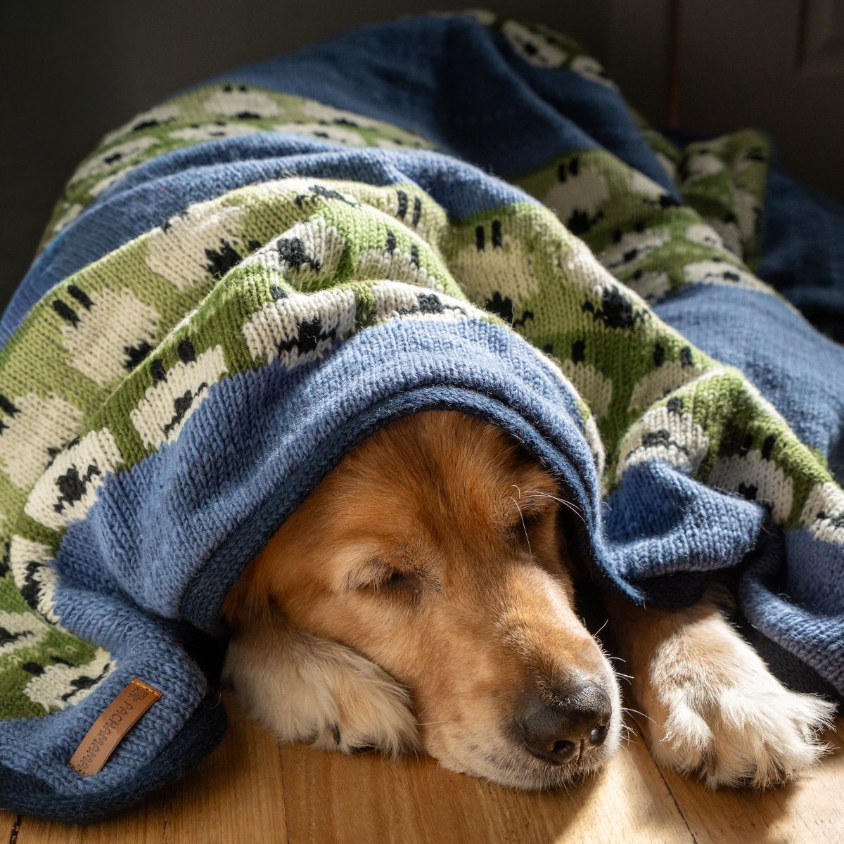 Dog wrapped in a blue and green patterned towel on a wooden floor