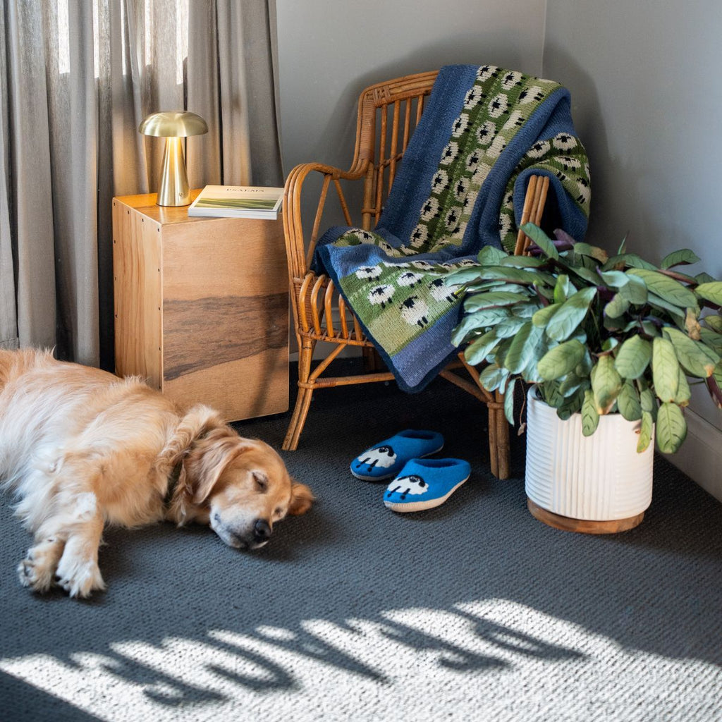 Dog lying on the floor next to a wooden cabinet, chair with a blanket, and potted plant.
