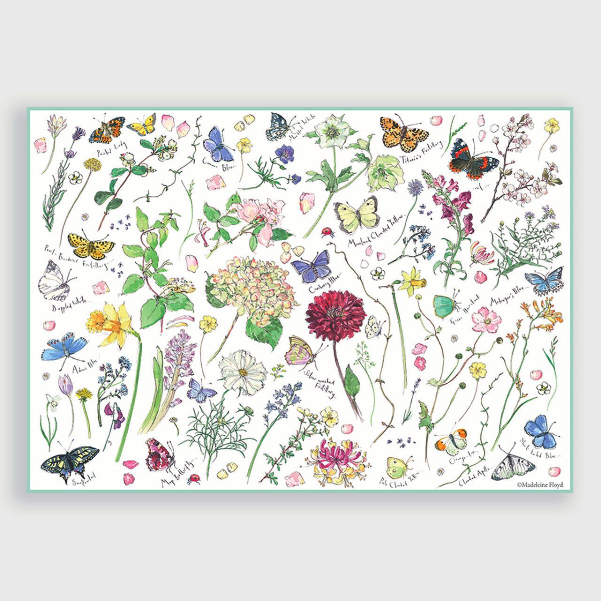 Colorful illustration of flowers and butterflies on a white background