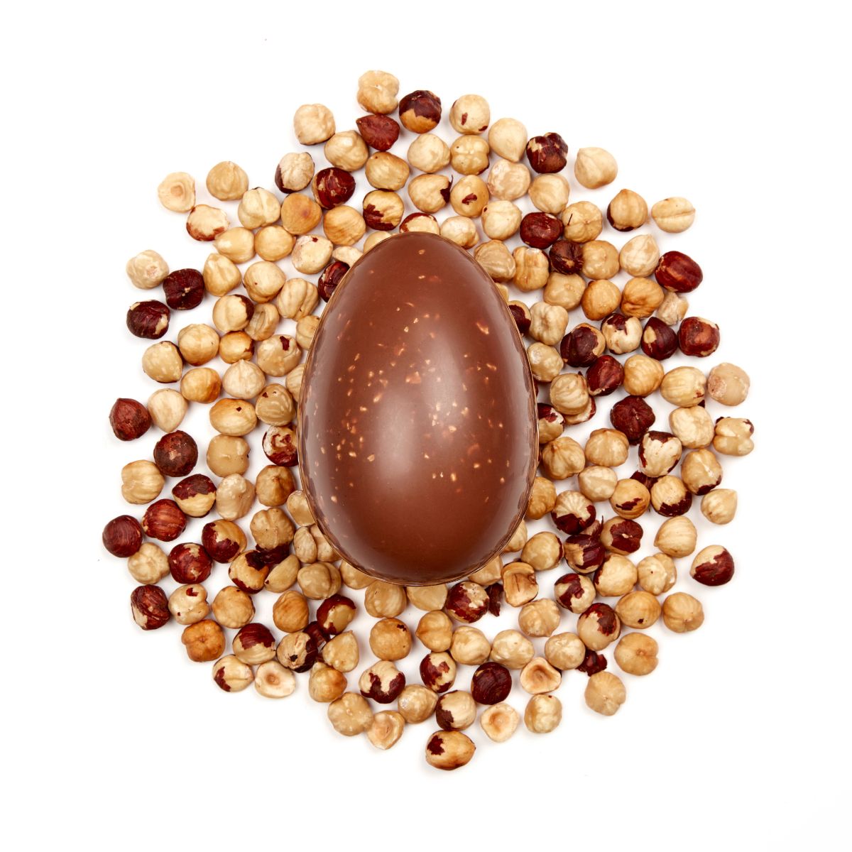 Chocolate egg surrounded by roasted hazelnuts on a white background