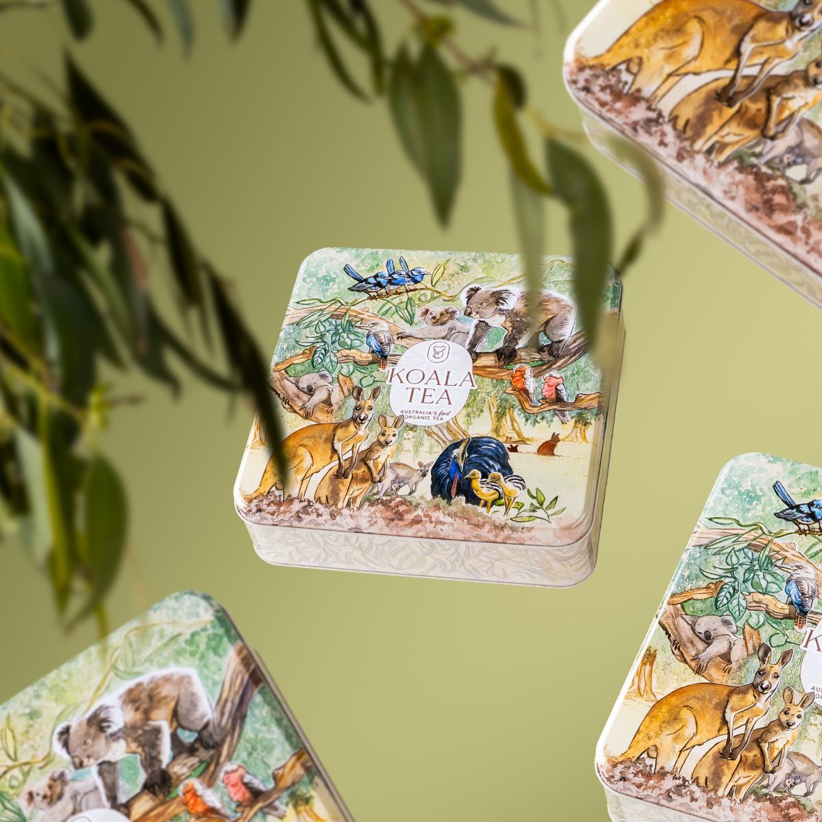Koala-themed tea tins with illustrations of koalas and eucalyptus leaves on a green background.