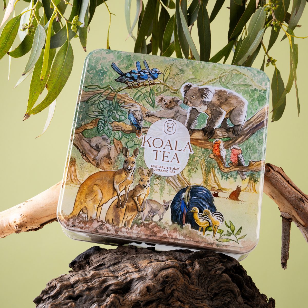 Koala Tea packaging with Australian animals on a natural background