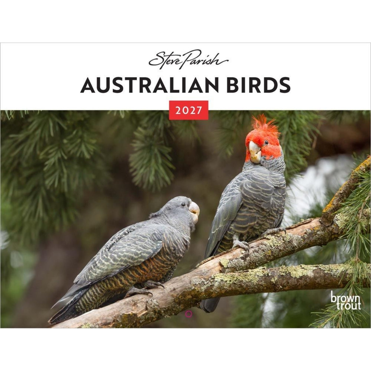 Square wall calendar cover for 'Australian Birds 2027' by Steve Parish, featuring two gray cockatoos perched on branches against a blurred green forest background, with a brown trout logo in the bottom right.