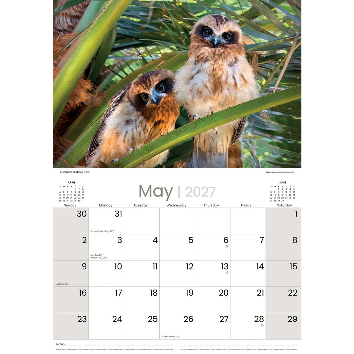 A single-page wall calendar spread showing a large owl photograph at the top and the May 2027 calendar grid below on a white page.