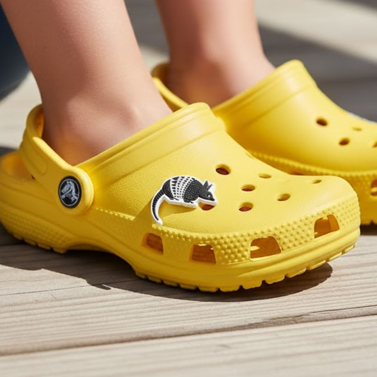 Armadillo Shoe Charm