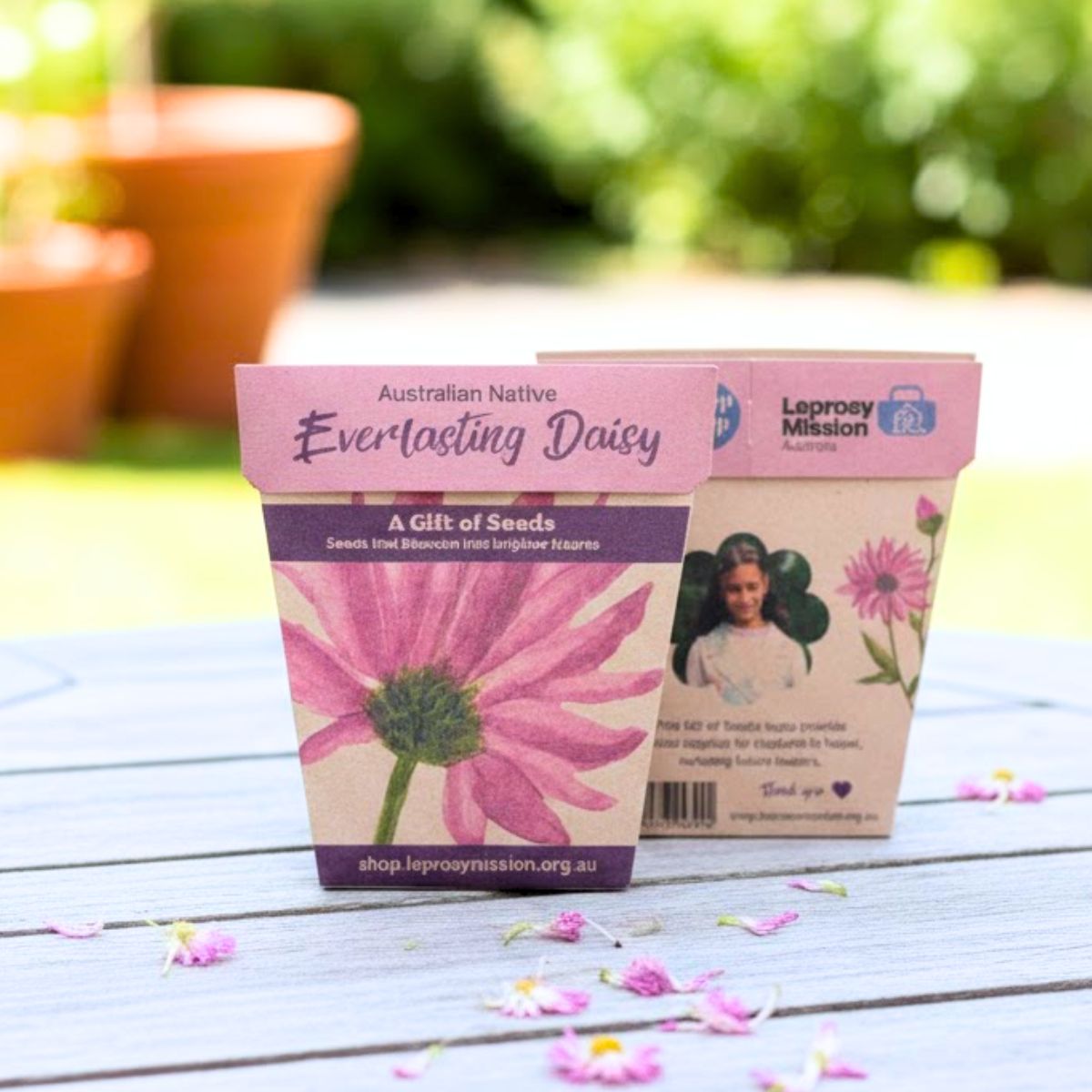 Gift of Hope - Everlasting Daisy Seeds