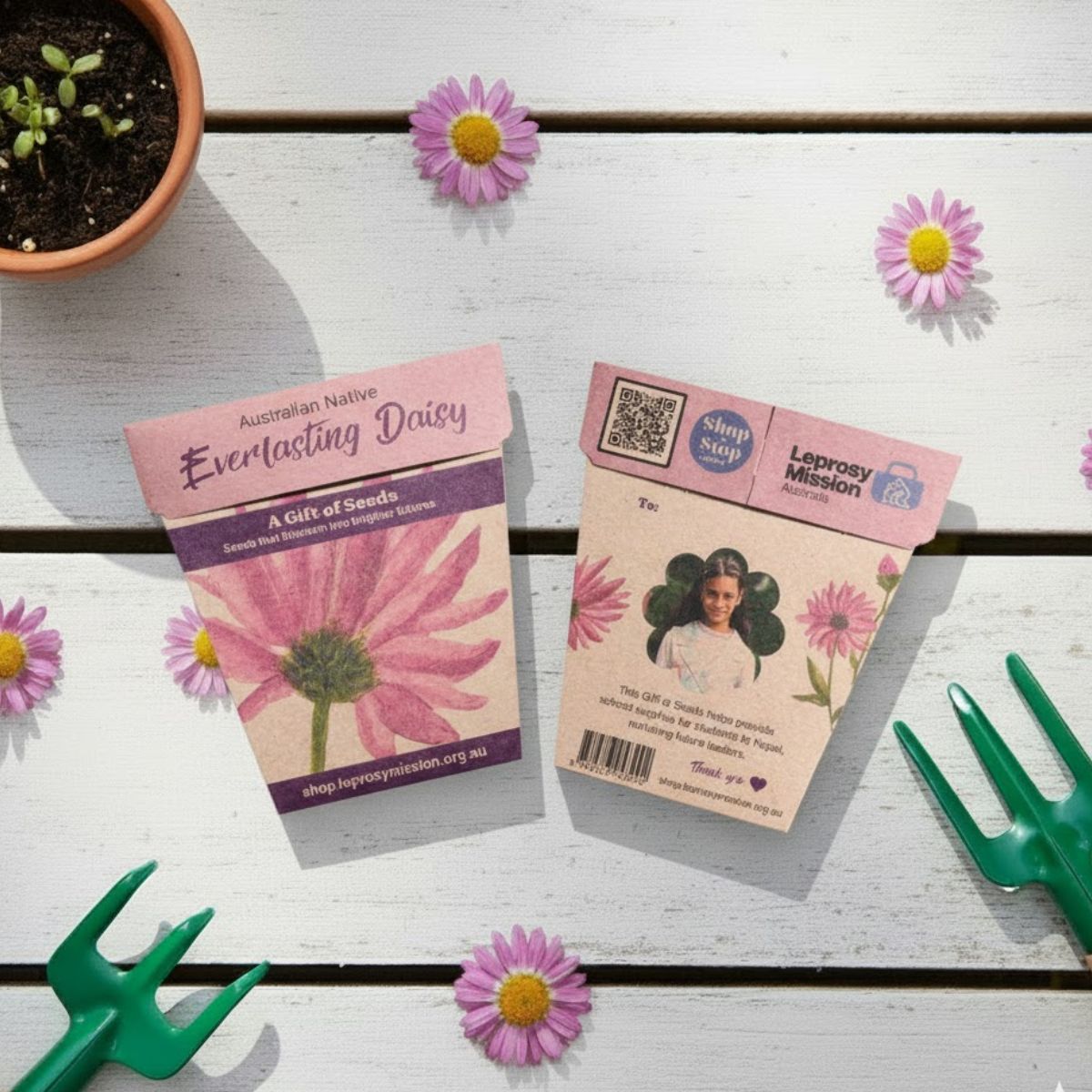 Gift of Hope - Everlasting Daisy Seeds