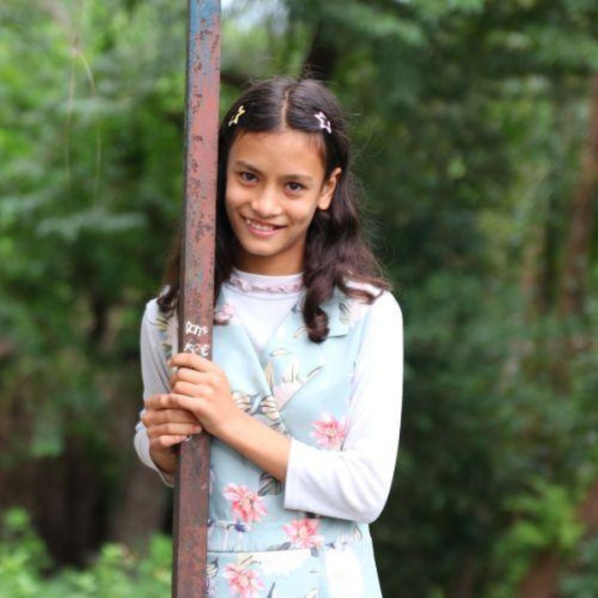 Gift of Hope - Everlasting Daisy Seeds