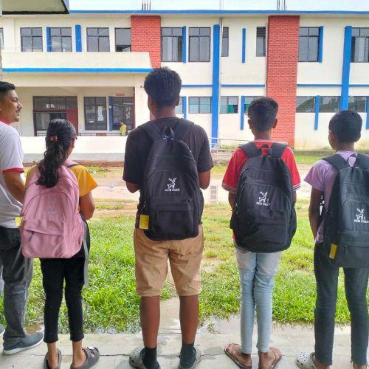 Gift of Hope - Everlasting Daisy Seeds