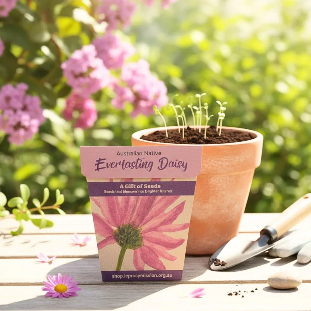 Gift of Hope - Everlasting Daisy Seeds