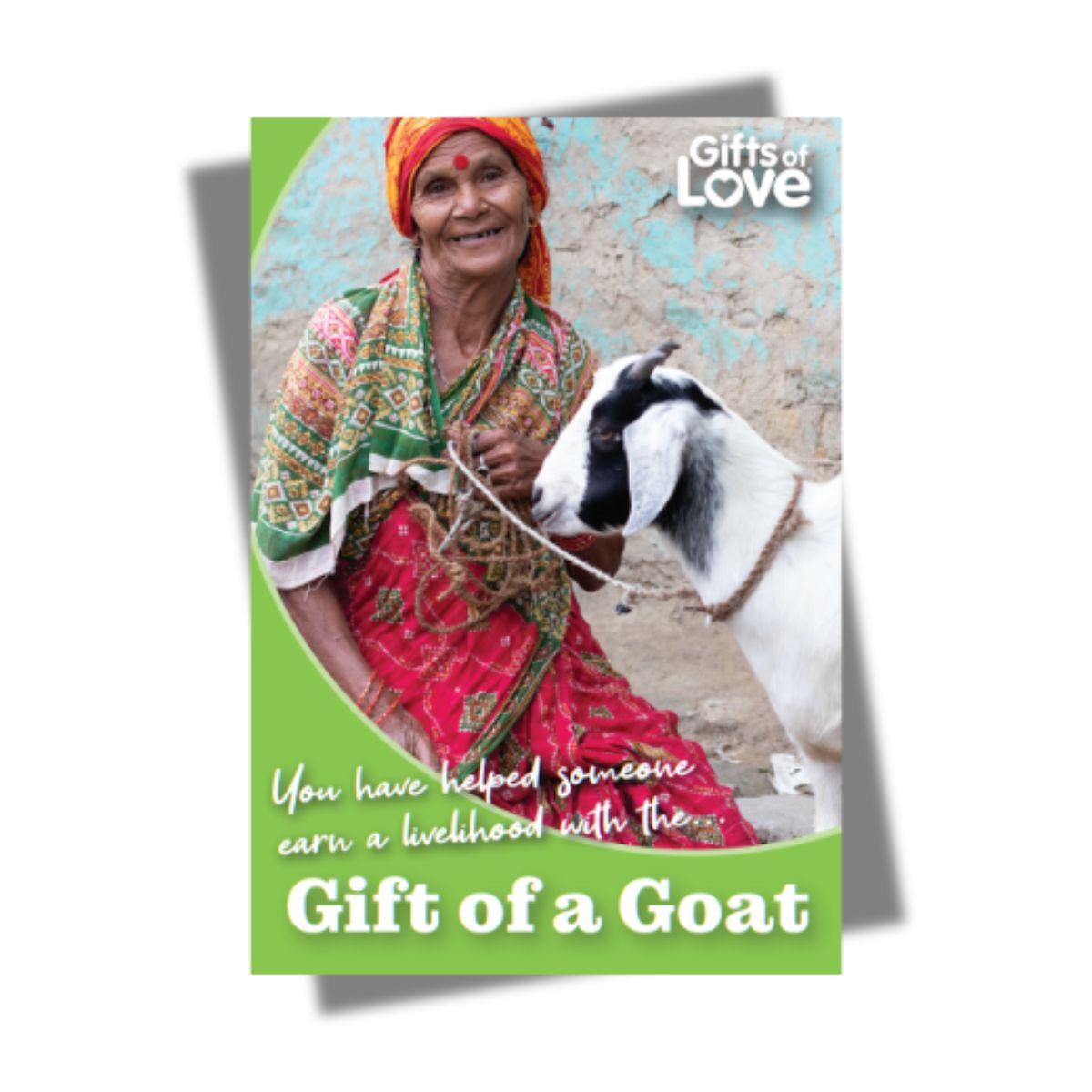 Goat - Gift of Love (Donation) - The Leprosy Mission Shop