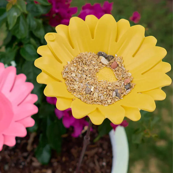 Bamboo Bird Bath - Sunflower Yellow