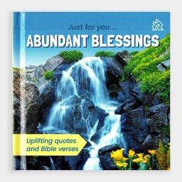 Abundant Blessings Book