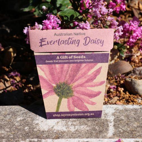 Gift of Hope - Everlasting Daisy Seeds
