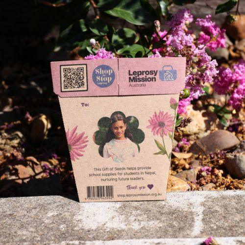 Gift of Hope - Everlasting Daisy Seeds