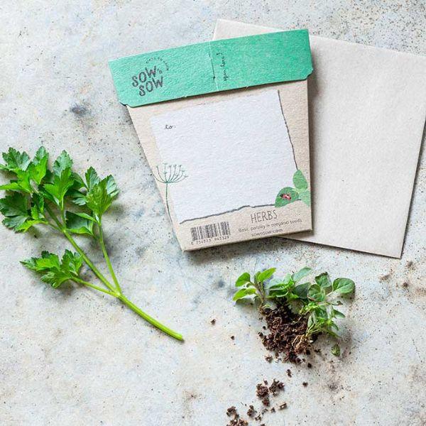 Garden Herbs Gift of Seeds - The Leprosy Mission Shop