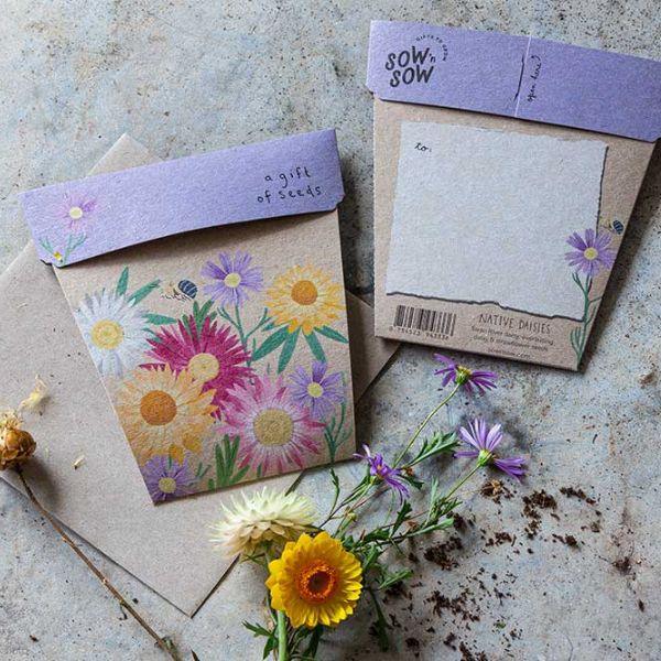 Native Daisies Gift of Seeds - The Leprosy Mission Shop