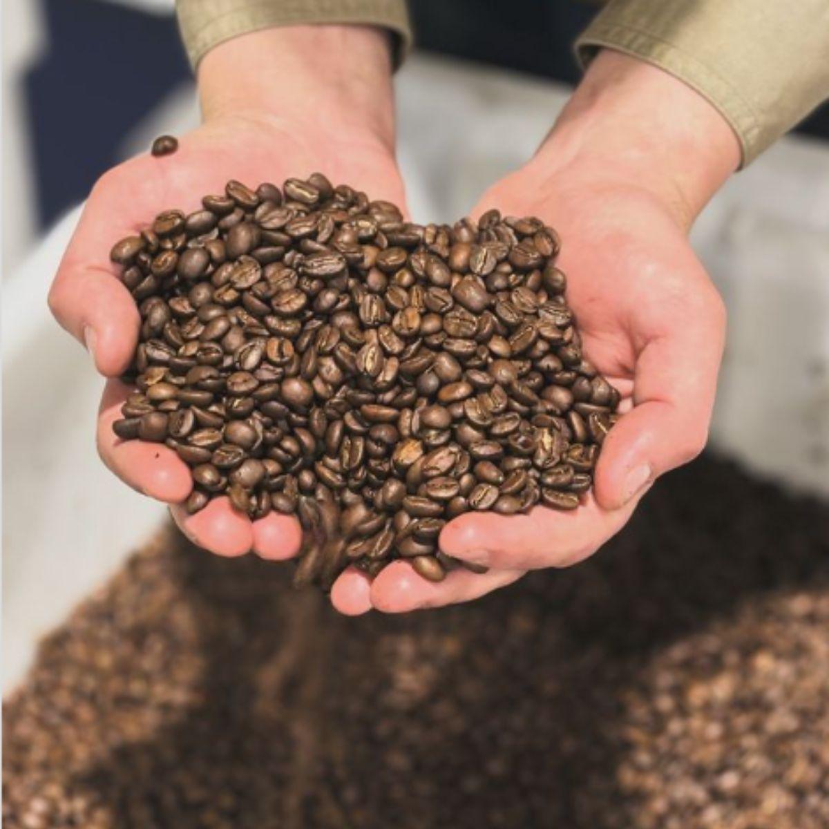 Armadillo Brew- Jubilee Premium Coffee Beans - The Leprosy Mission Shop