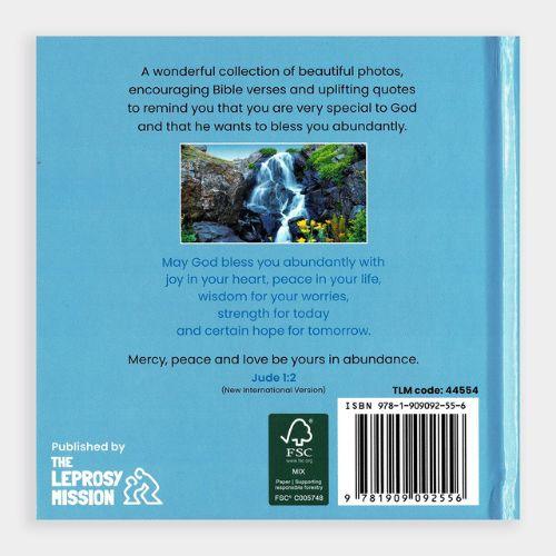Abundant Blessings Book