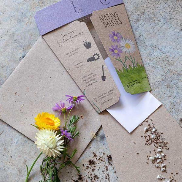 Native Daisies Gift of Seeds - The Leprosy Mission Shop