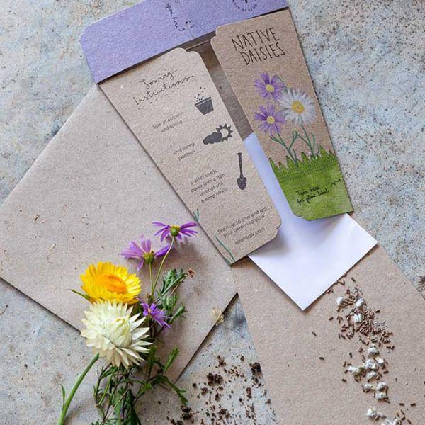 Native Daisies Gift of Seeds - The Leprosy Mission Shop
