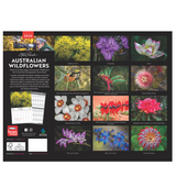 Australian Wildflowers- Steve Parish 2026 Calendar
