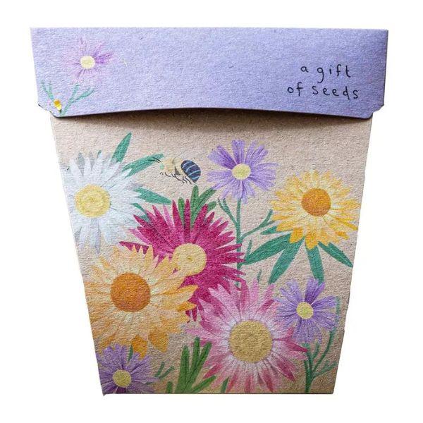 Native Daisies Gift of Seeds - The Leprosy Mission Shop