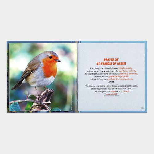 Abundant Blessings Book