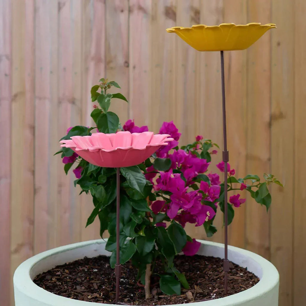 Bamboo Bird Bath - Sunflower Yellow
