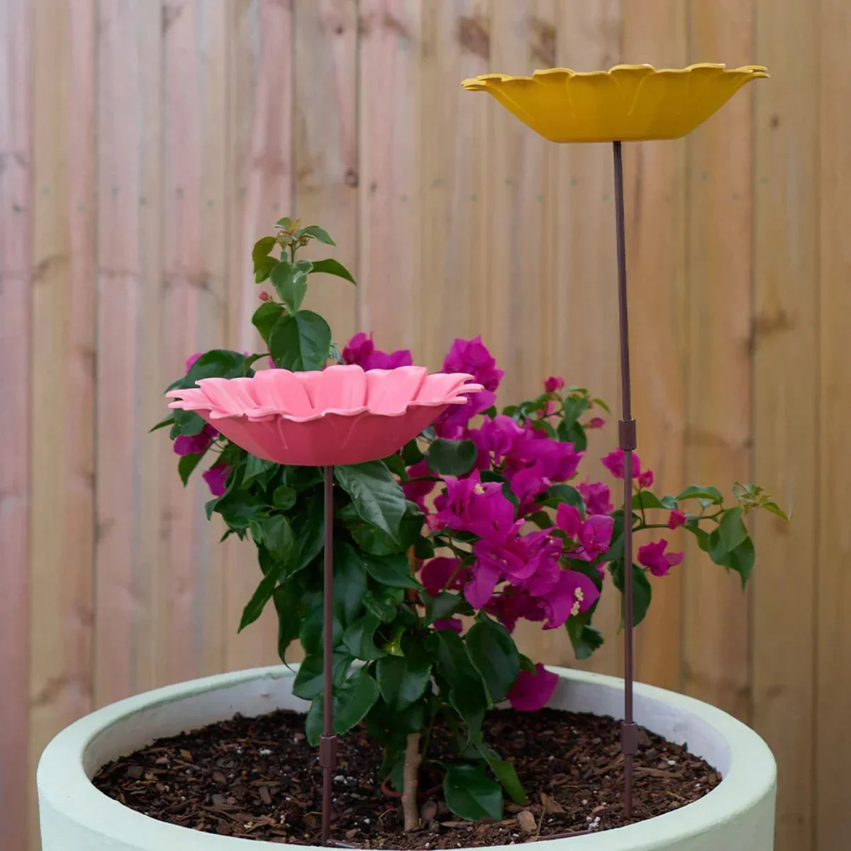 Bamboo Bird Bath - Sunflower Yellow