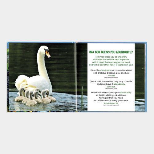 Abundant Blessings Book
