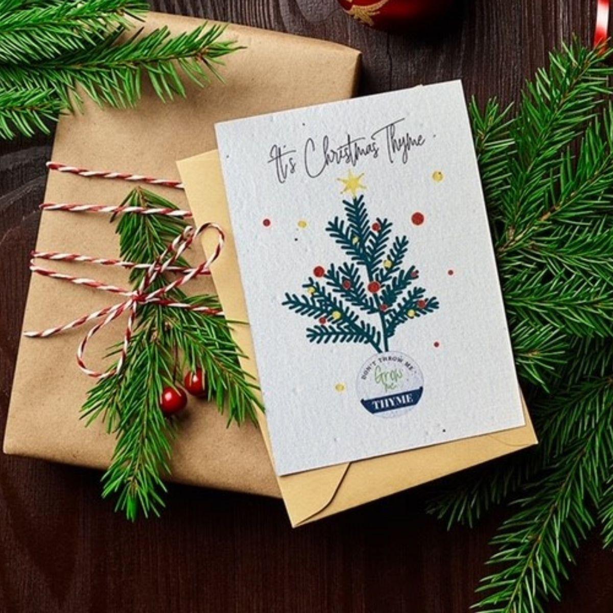 Christmas Thyme Grow Card - The Leprosy Mission Shop