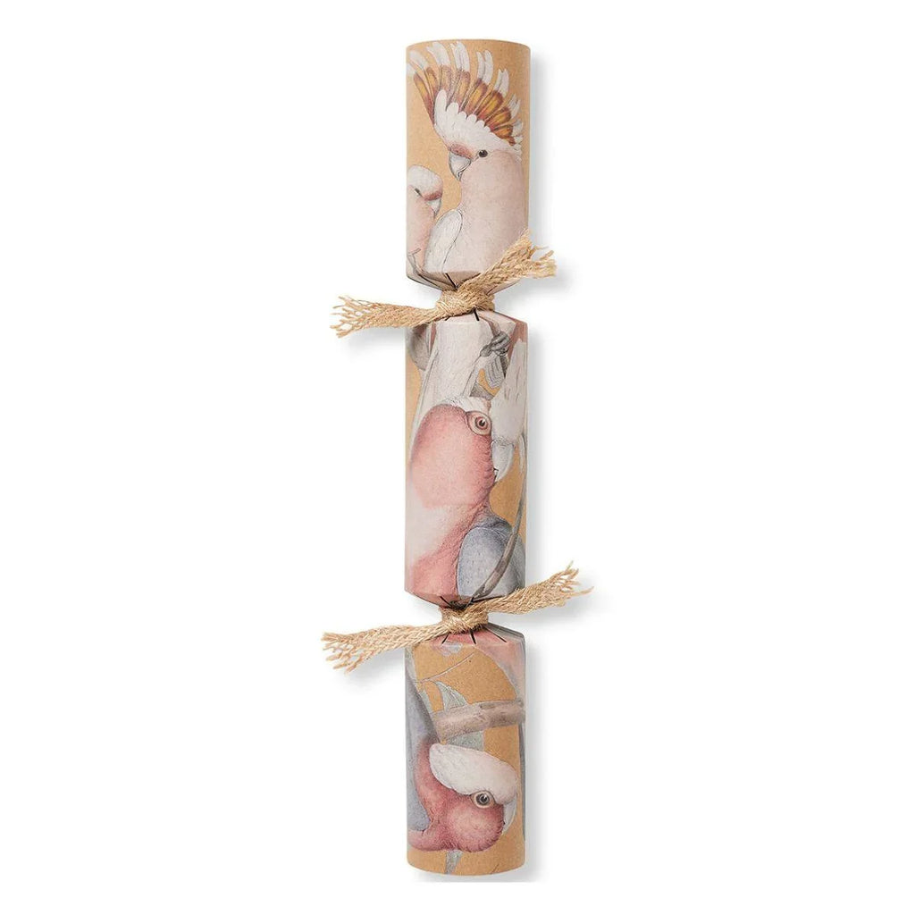 Eco Friendly Christmas Crackers - Cockatoo - The Leprosy Mission Shop