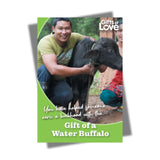 Buffalo - Gift of Love (Donation) - The Leprosy Mission Shop