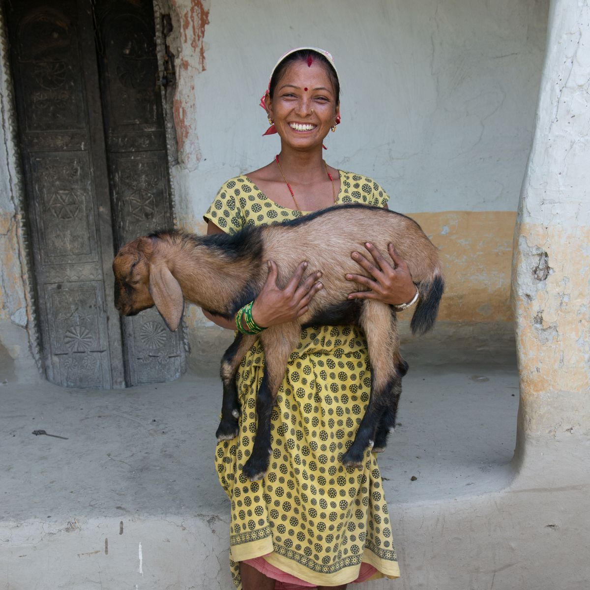 Goat - Gift of Love (Donation)