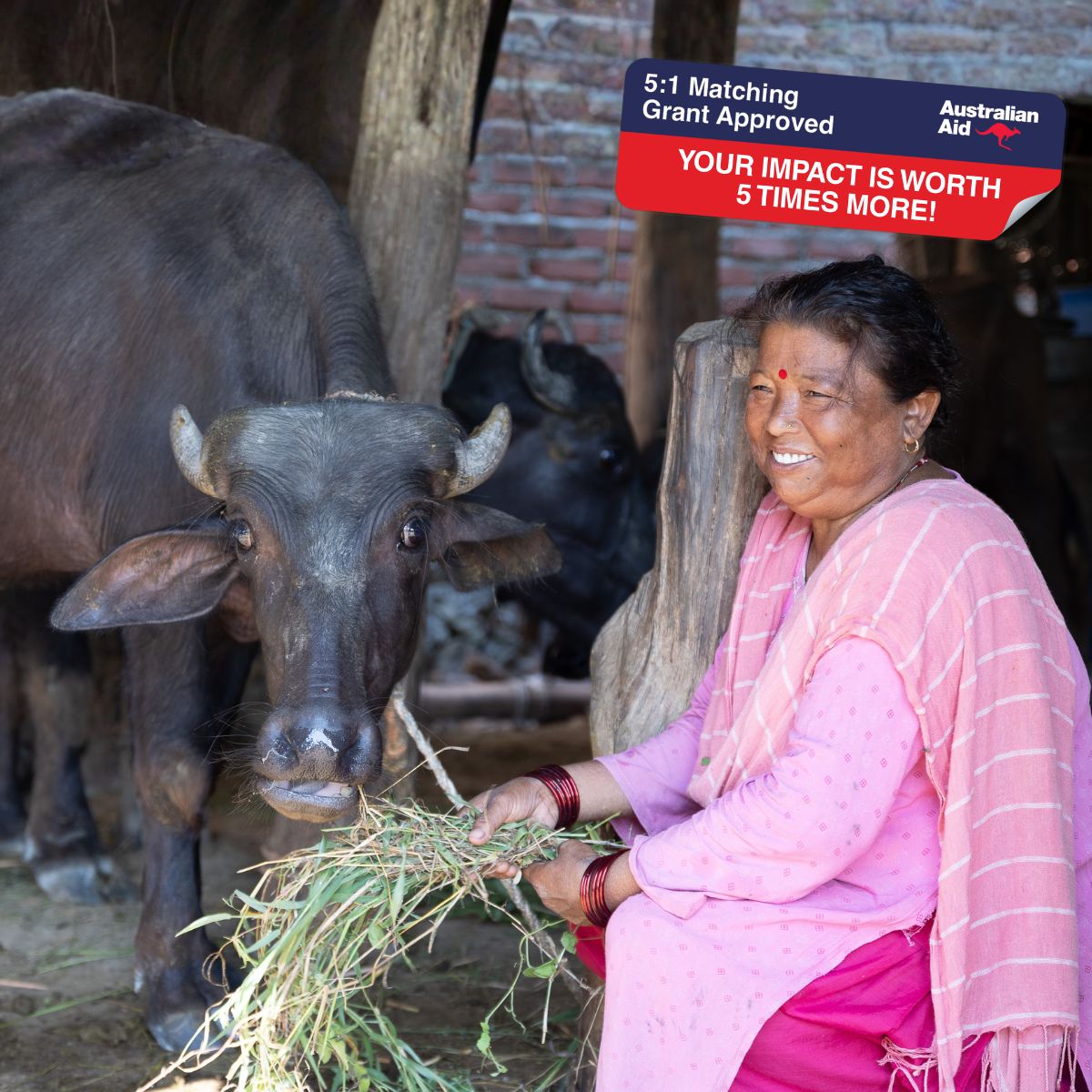Buffalo - Gift of Love (Donation)