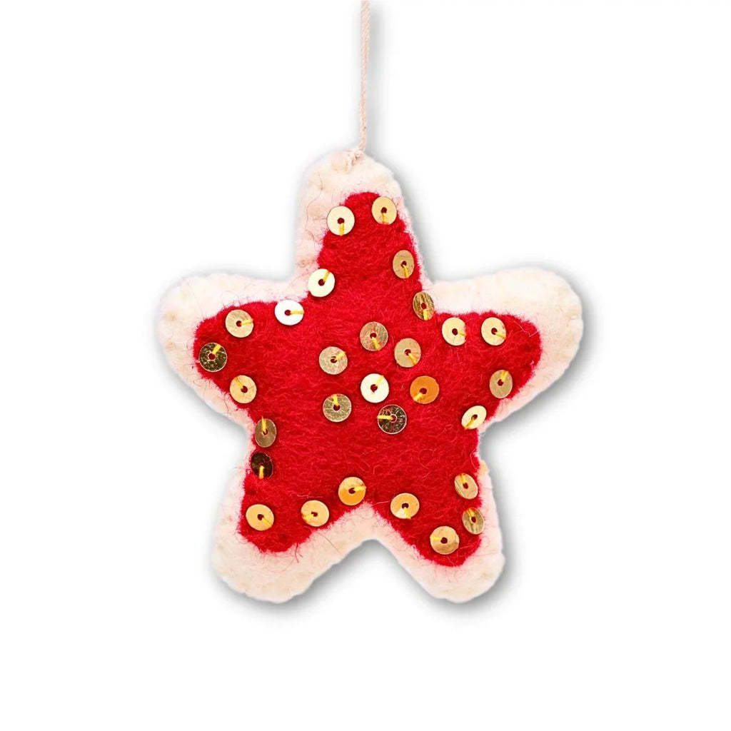 Sequined Star Ornament - The Leprosy Mission Shop