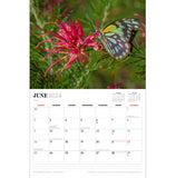 Australian Wildflowers - Steve Parish 2024 Calendar