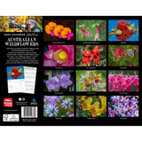 Australian Wildflowers - Steve Parish 2024 Calendar