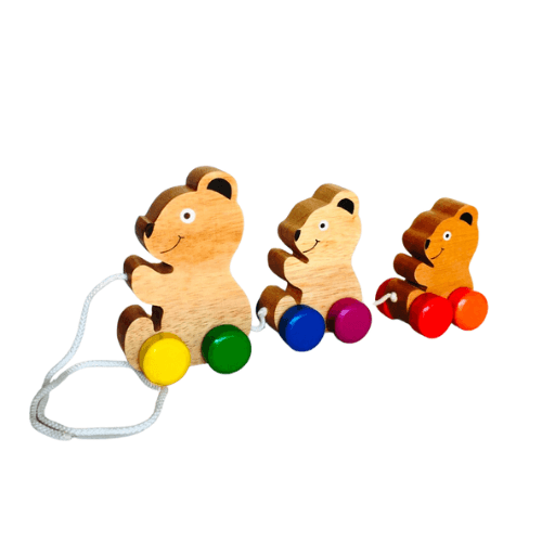 Pull Along Bear - The Leprosy Mission Shop
