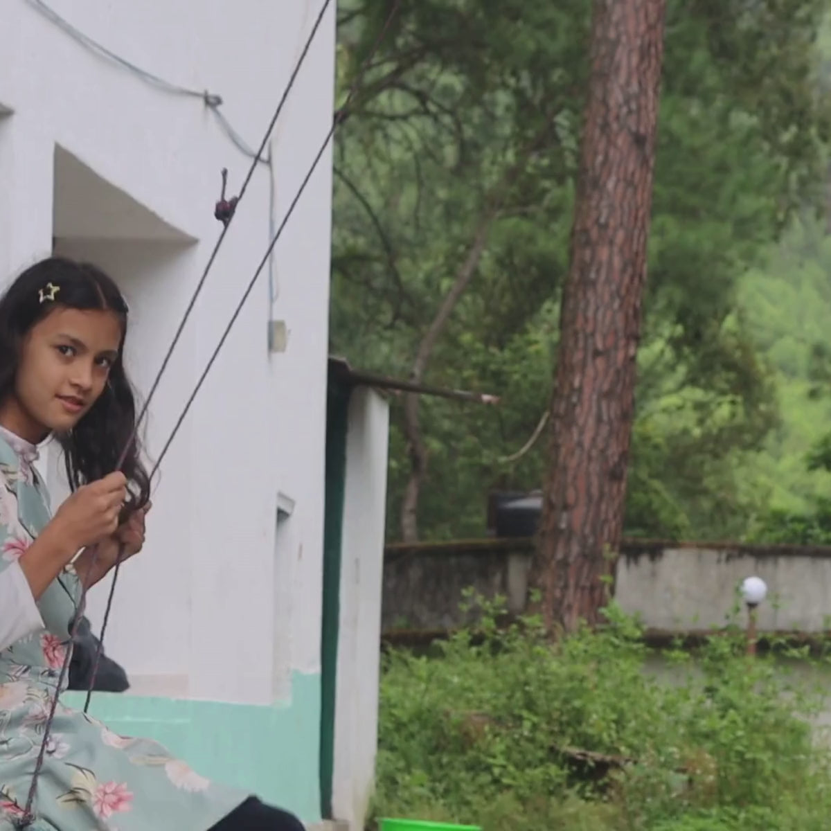 Gift of Hope - Everlasting Daisy Seeds