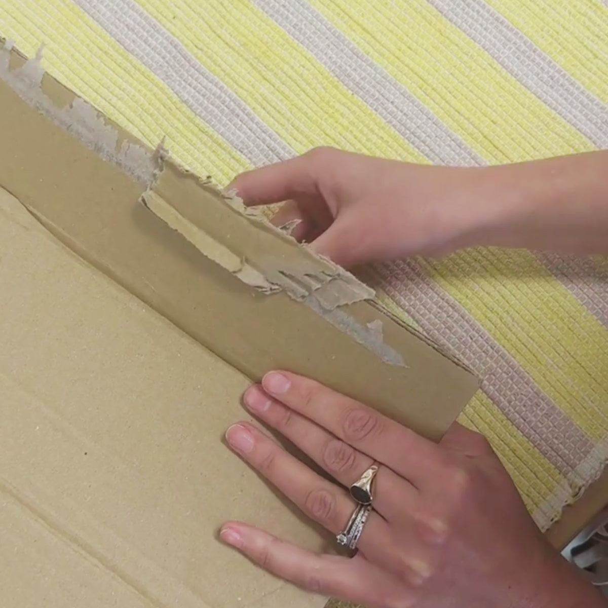 Christmas Giving Bundle