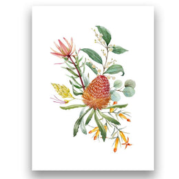 Banksia and Eucalyptus e-Greeting Cards - The Leprosy Mission Australia Shop