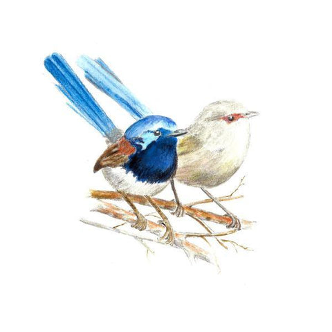 Blue Wren Thinking of You e-Greeting Card - The Leprosy Mission Australia Shop