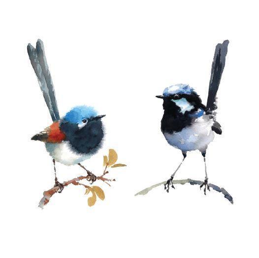 Blue Wren Thinking of You Set of 10 Cards - The Leprosy Mission Shop